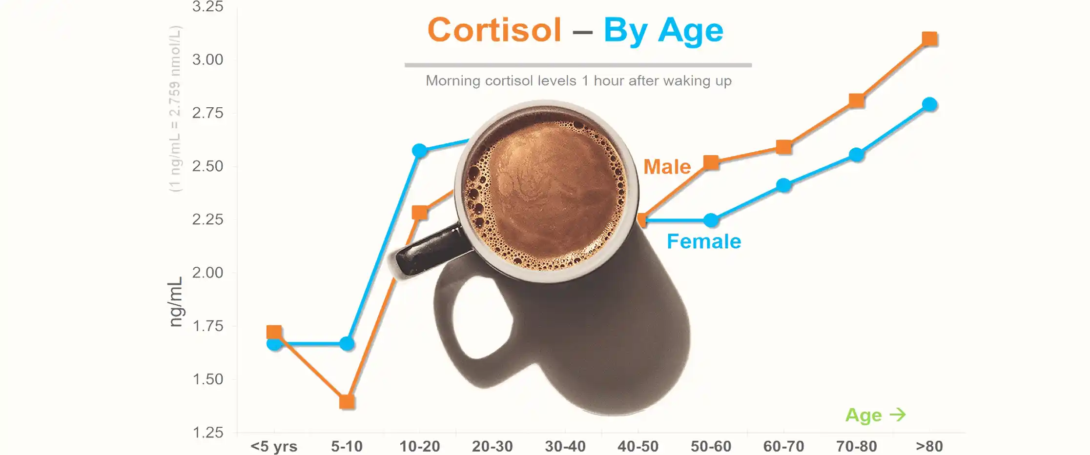 تاثیر کافئین بر ترشح کورتیزول